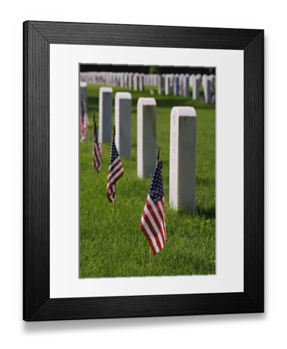 Framed Print : American flags on tombs of American Veterans on Memorial Day, Zachary Taylor National Cemetery