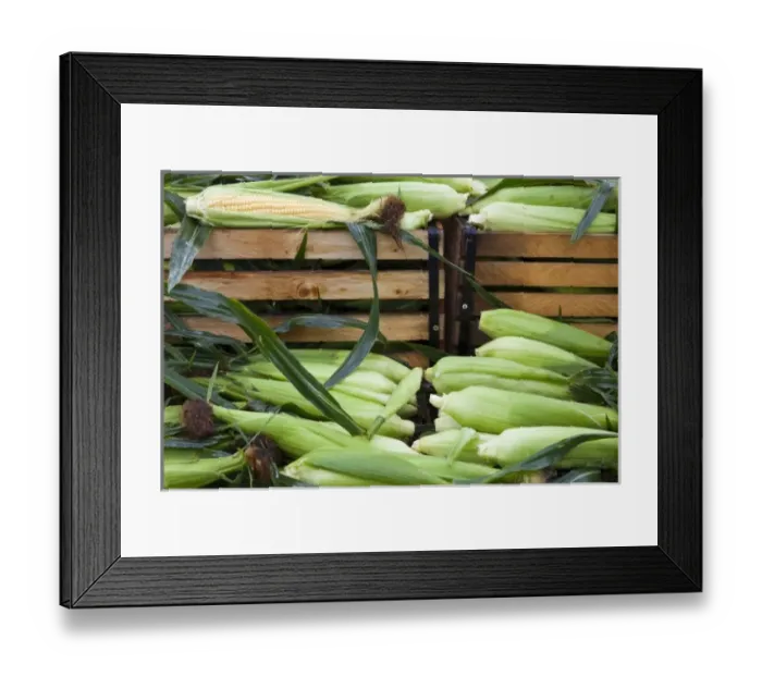 Framed Print : USA, North America, Montana Framed Print : USA, North America, Montana