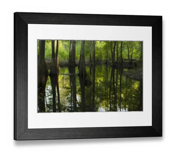 Framed Print : USA, North America, Georgia Framed Print : USA, North America, Georgia