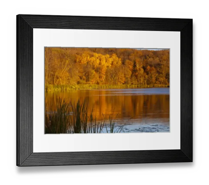 Framed Print : Autumn colors in Maplewood State Park near Pelican Rapids, Minnesota, USA Framed Print : Autumn colors in Maplewood State Park near Pelican Rapids, Minnesota, USA