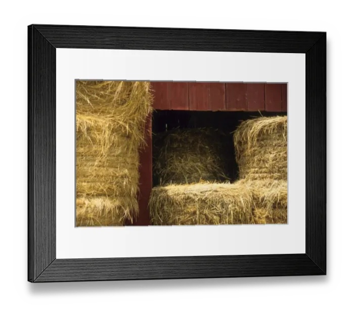 Framed Print : USA, North America, Missouri