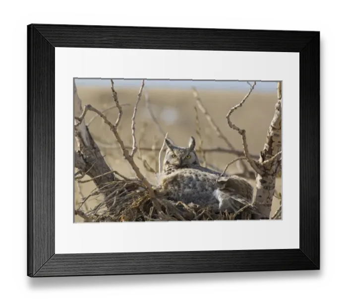 Framed Print : USA, North America, Montana Framed Print : USA, North America, Montana