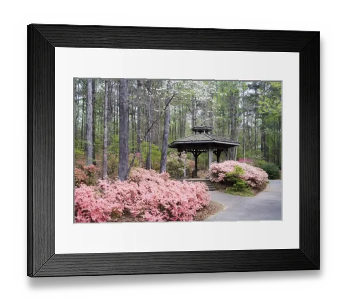 Framed Print : USA, North America, Georgia
