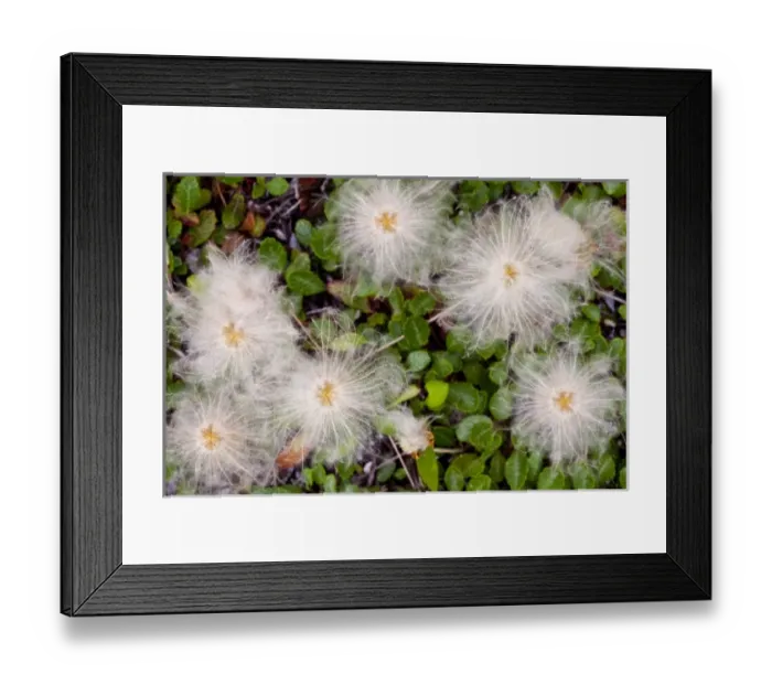 Framed Print : USA, North America, Montana Framed Print : USA, North America, Montana