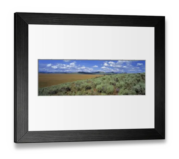 Framed Print : USA, Idaho, Camas Co. Sagebrush and lupine line the edge of a dry prairie in Camas County, Idaho Framed Print : USA, Idaho, Camas Co. Sagebrush and lupine line the edge of a dry prairie in Camas County, Idaho