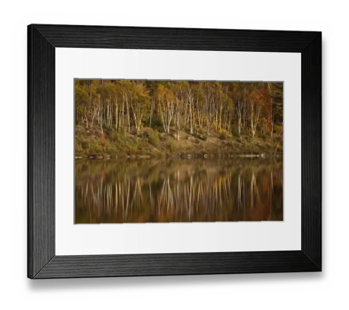Framed Print : USA, North America, Maine, Acadia National Park. Reflections of fall foliage in a pond Framed Print : USA, North America, Maine, Acadia National Park. Reflections of fall foliage in a pond