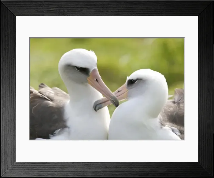 Framed Print : USA, North America, Hawaii