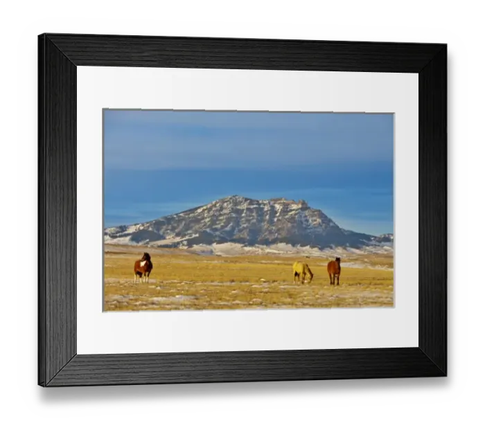 Framed Print : Horses graze by Mount Cecelia near Cascade, Montana Framed Print : Horses graze by Mount Cecelia near Cascade, Montana