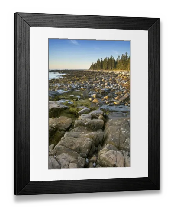 Framed Print : USA, North America, Maine Framed Print : USA, North America, Maine