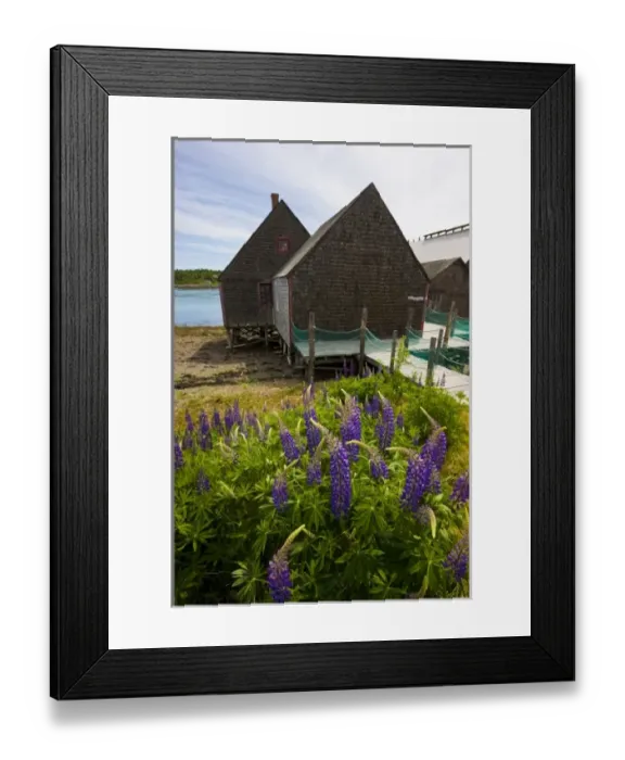 Framed Print : USA, North America, Maine Framed Print : USA, North America, Maine