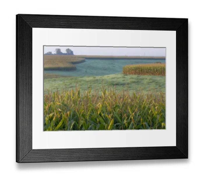 Framed Print : USA, North America, Missouri Framed Print : USA, North America, Missouri