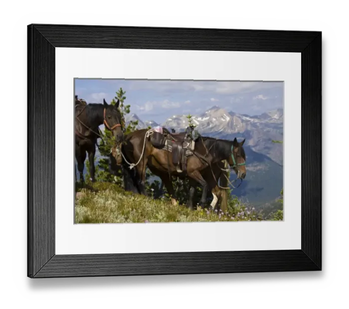 Framed Print : USA, Montana, Rocky Mountains, Bob Marshall Wilderness, horses at scenic overview