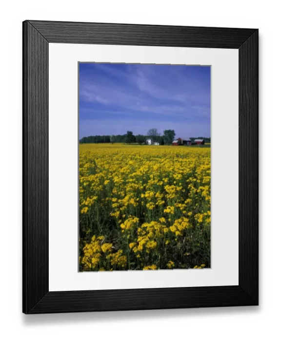Framed Print : USA, North America, Indiana Framed Print : USA, North America, Indiana