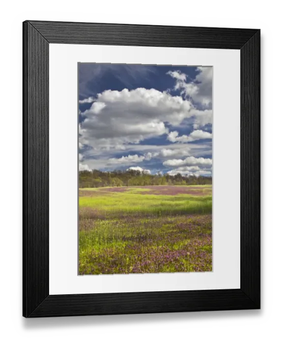 Framed Print : USA, North America, Kentucky Framed Print : USA, North America, Kentucky