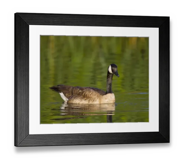 Framed Print : USA, North America, Nevada Framed Print : USA, North America, Nevada