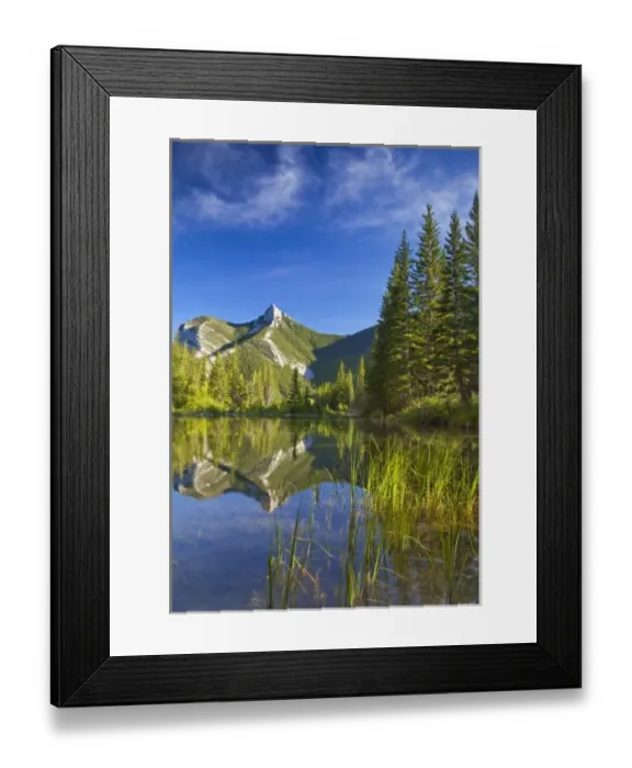 Framed Print : Wind Mountain reflects in a beaver pond in the Lewis and Clark National Forest of Montana Framed Print : Wind Mountain reflects in a beaver pond in the Lewis and Clark National Forest of Montana