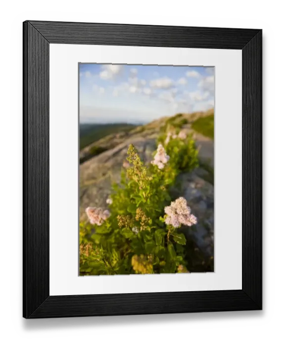 Framed Print : USA, North America, Maine