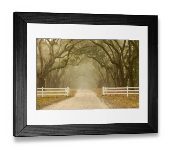 Framed Print : USA, North America, Georgia Framed Print : USA, North America, Georgia
