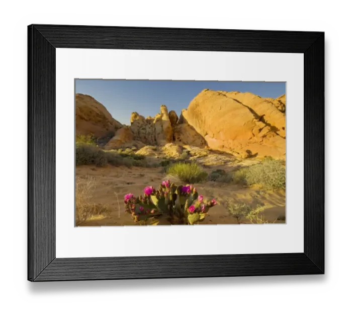 Framed Print : USA, North America, Nevada Framed Print : USA, North America, Nevada
