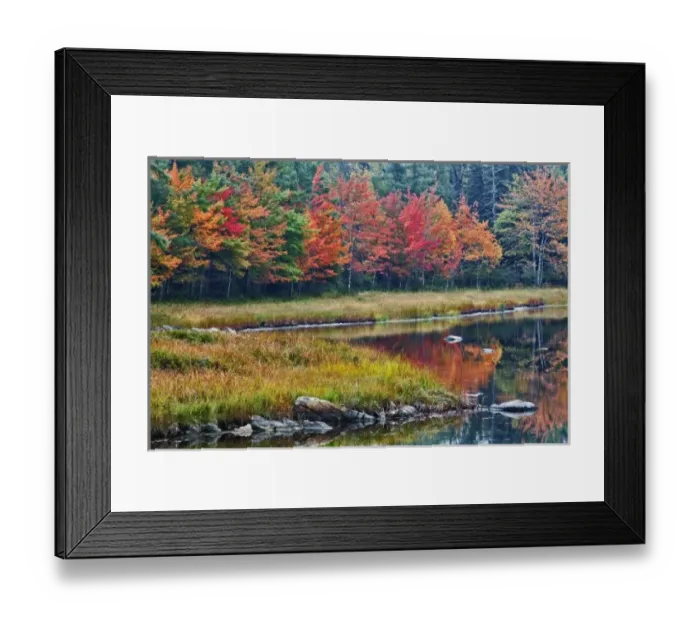 Framed Print : Fall colors along pond, Mount Desert Island, Maine