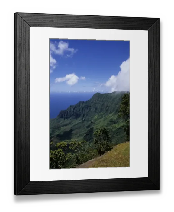 Framed Print : Kokee State Park in Honopu Valley, Kauai, Hawaii