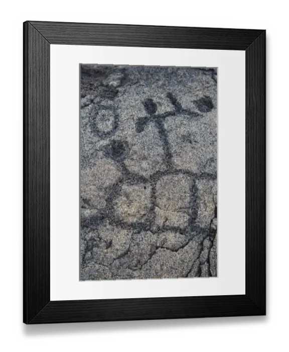 Framed Print : USA. Ancient native petroglyph in Volcanoes NP on the Big Island of Hawaii