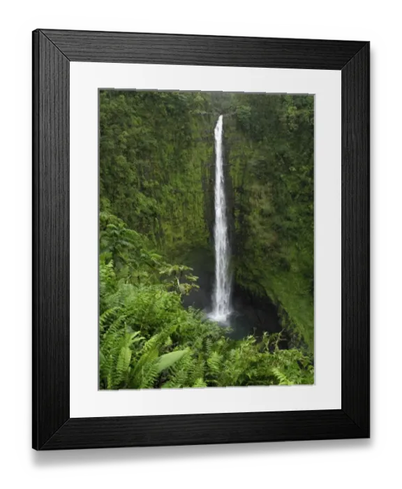 Framed Print : USA, Hawaii, Hilo. View if Akaka Falls Framed Print : USA, Hawaii, Hilo. View if Akaka Falls
