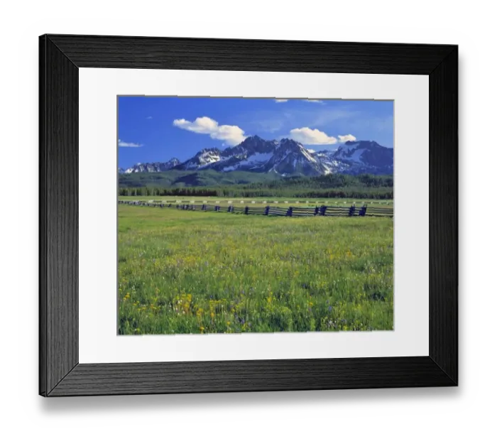 Framed Print : USA, Idaho, Sawtooth NRA. A split-rail fence marks a meadow of wildflowers with Framed Print : USA, Idaho, Sawtooth NRA. A split-rail fence marks a meadow of wildflowers with