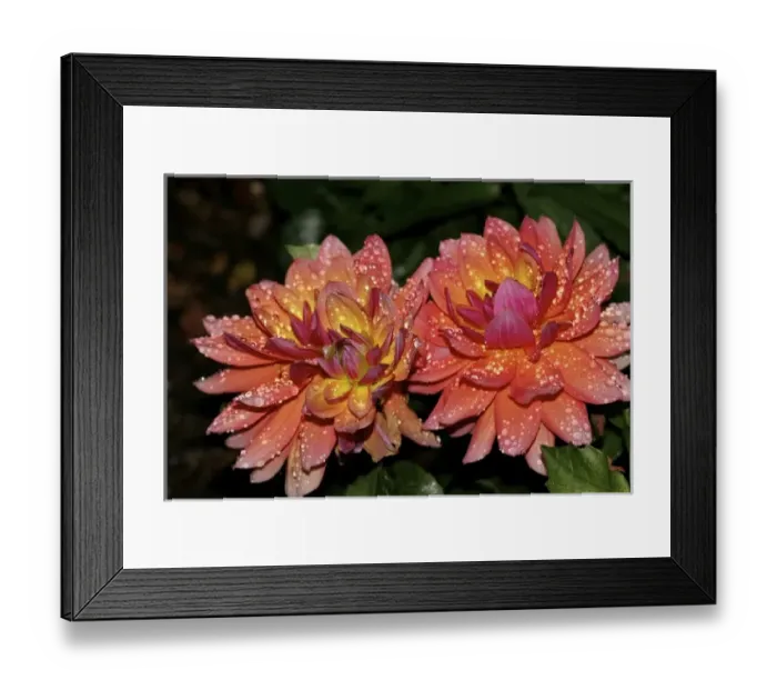 Framed Print : USA, Massachusetts, Shelburne Falls. Flowers on Shelburnes Bridge of Flowers
