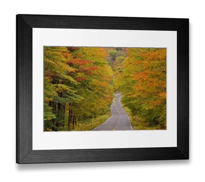Framed Print : Roadway through White Mountain National Forest in autumn, New Hampshire