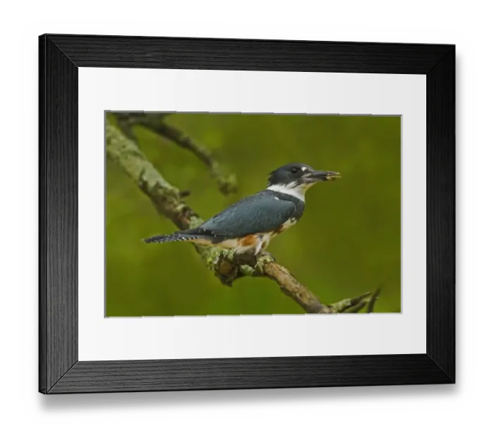 Framed Print : USA, North America, Kentucky