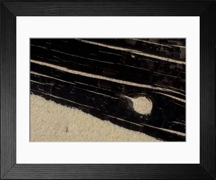 Framed Print : USA, Michigan, Upper Peninsula, Charred driftwood in beach sand Framed Print : USA, Michigan, Upper Peninsula, Charred driftwood in beach sand