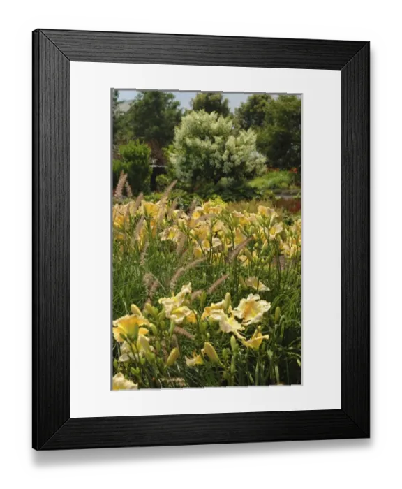 Framed Print : USA, North America, Massachusetts
