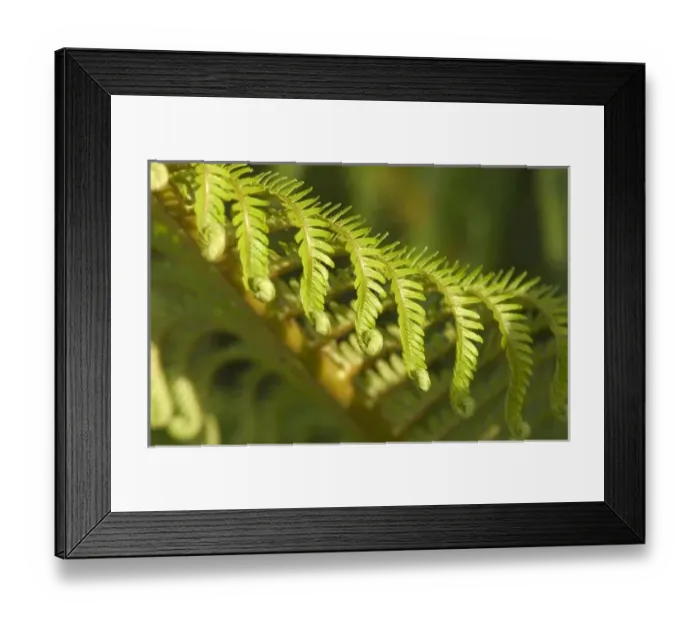 Framed Print : USA, North America, Hawaii Framed Print : USA, North America, Hawaii
