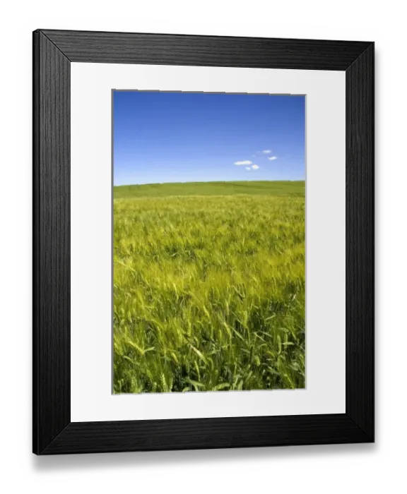 Framed Print : USA, North America, Idaho Framed Print : USA, North America, Idaho