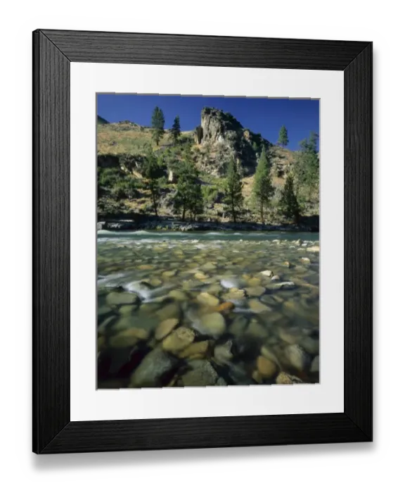 Framed Print : Frank Church River Of No Return Wilderness, Idaho. USA. Stones in clear shallow water Framed Print : Frank Church River Of No Return Wilderness, Idaho. USA. Stones in clear shallow water