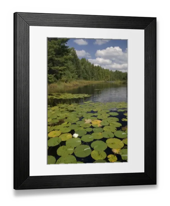 Framed Print : USA, North America, Minnesota Framed Print : USA, North America, Minnesota