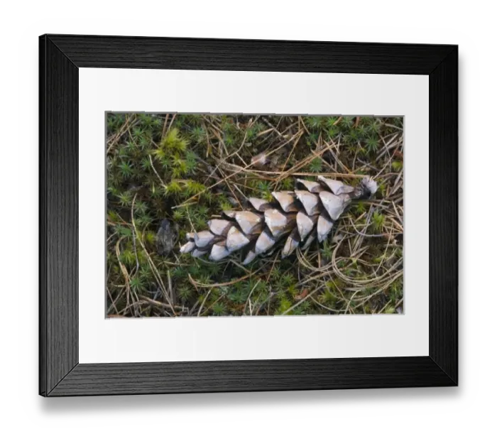 Framed Print : USA, North America, Minnesota
