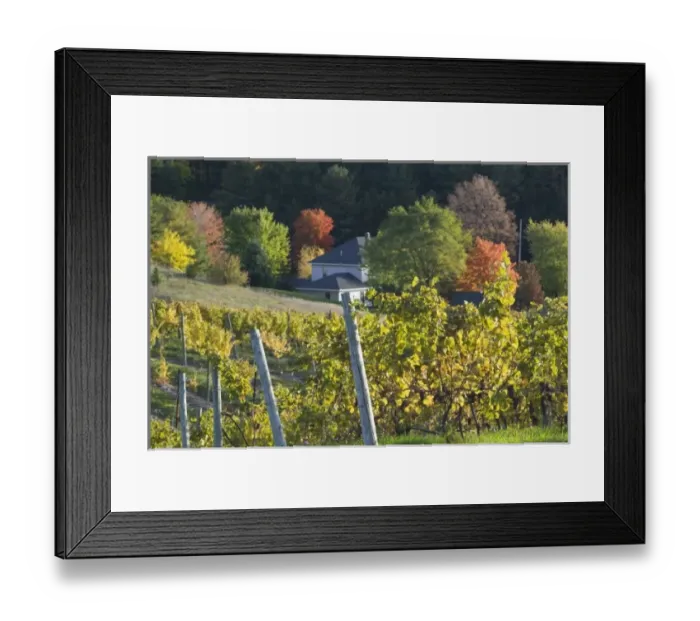 Framed Print : USA, North America, Michigan Framed Print : USA, North America, Michigan