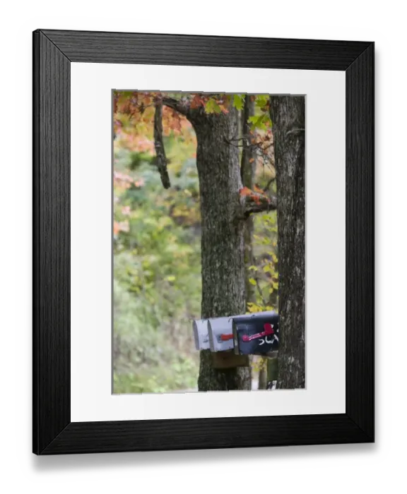 Framed Print : USA, North America, Kentucky