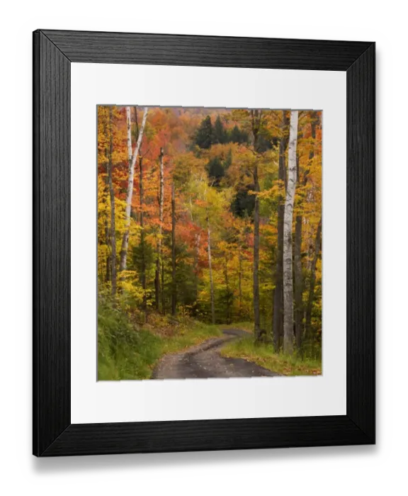 Framed Print : USA, Maine, Bethel. Winding lane through autumn trees Framed Print : USA, Maine, Bethel. Winding lane through autumn trees