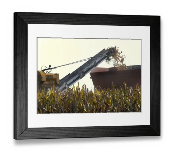Framed Print : Harvesting corn in Nebraska Framed Print : Harvesting corn in Nebraska