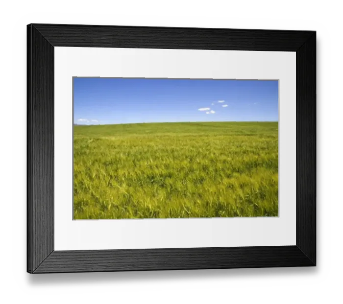 Framed Print : USA, North America, Idaho