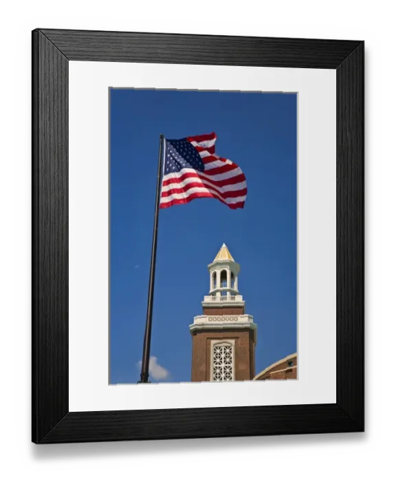 Framed Print : Viewing the Navy Pier in Chicago Framed Print : Viewing the Navy Pier in Chicago