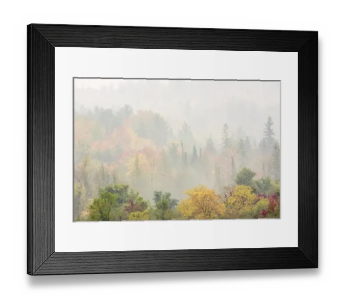 Framed Print : USA, North America, Michigan