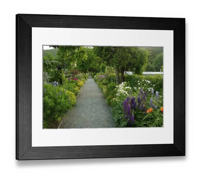 Framed Print : USA, Massachusetts, Shelburne Falls. A view down the path across Shelburne s
