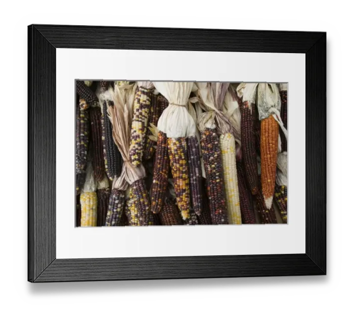 Framed Print : USA, North America, Massachusetts Framed Print : USA, North America, Massachusetts