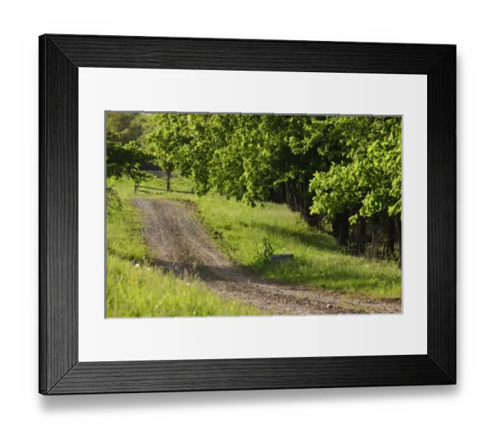 Framed Print : USA, North America, Massachusetts
