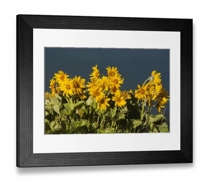 Framed Print : USA, North America, Montana Framed Print : USA, North America, Montana