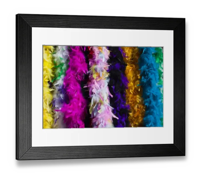 Framed Print : USA, Louisiana, New Orleans. French Quarter, French Market, feather boas Framed Print : USA, Louisiana, New Orleans. French Quarter, French Market, feather boas